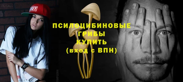 apvp Рославль