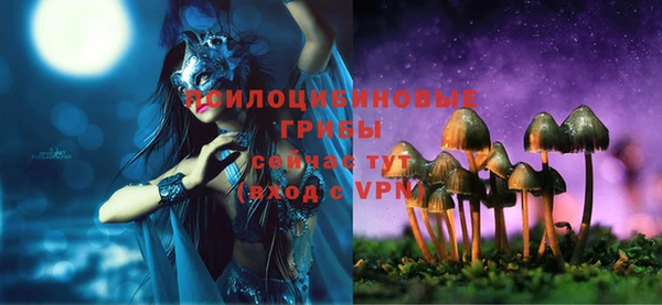 стаф Алексеевка